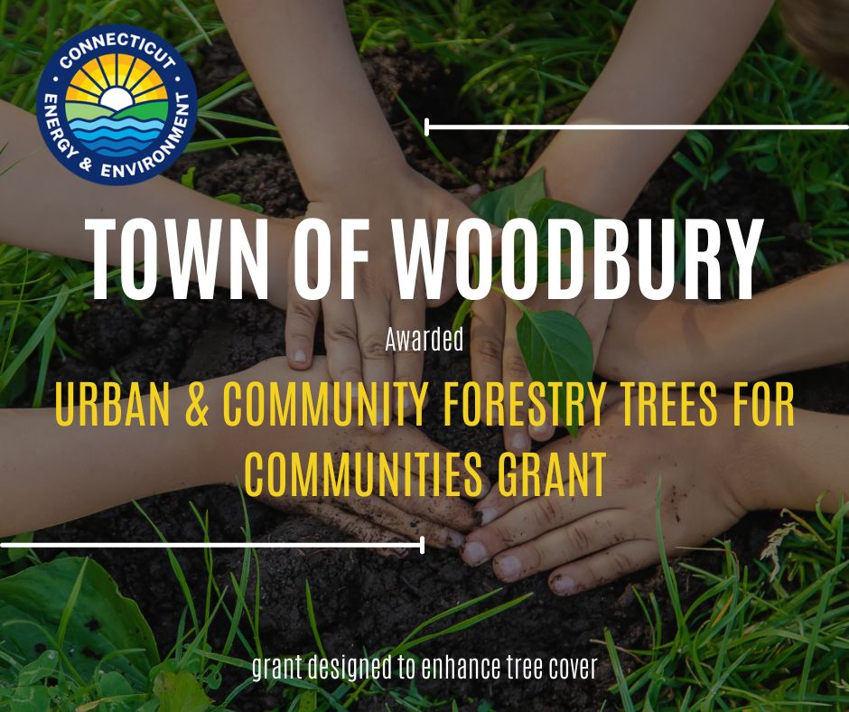 DEEP Announces Grant to Town of Woodbury Improve Tree Cover